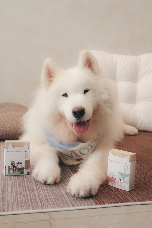 Air Freshener Incense | For Pets